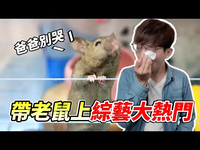 【維特】帶老鼠上綜藝大熱門 觀眾反應竟然開罵?